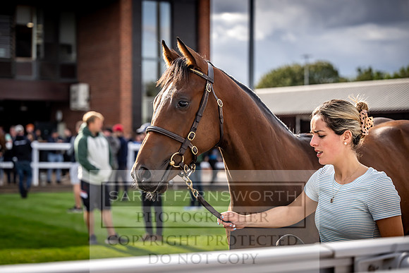 Goffs UK Premier Yearling Sale 2023-513