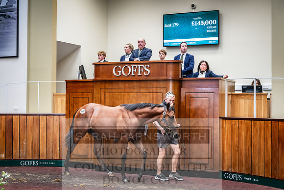 Goffs UK Premier Yearling Sale 2023-289
