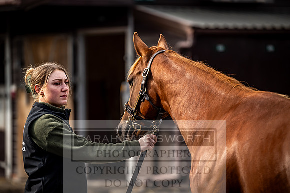 Goffs UK Premier Yearling Sale 2023-352