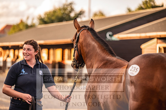 Goffs UK Premier Yearling Sale 2023-313