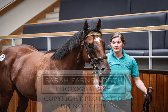 Goffs UK Premier Yearling Sale 2023-229