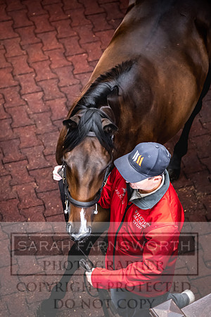 Goffs UK Premier Yearling Sale 2023-398