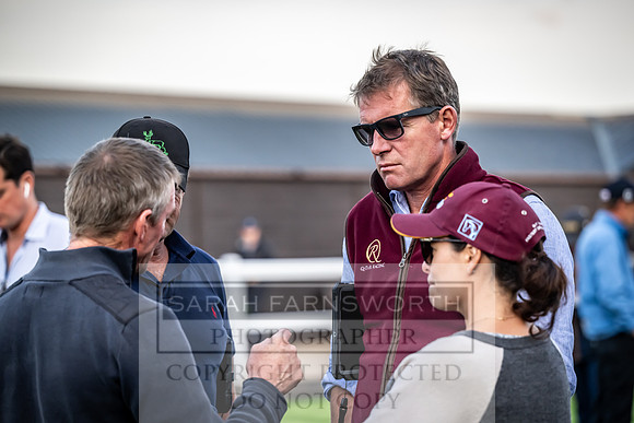 Goffs UK Premier Yearling Sale 2023-327