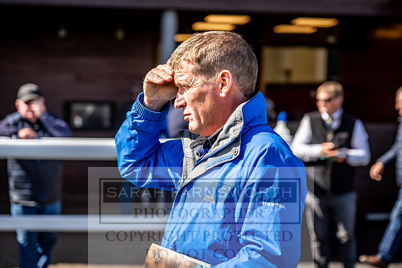 Goffs UK Premier Yearling Sale 2023-440