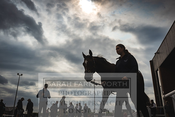 Goffs UK Premier Yearling Sale 2023-143
