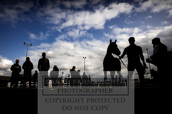 Goffs UK Premier Yearling Sale 2023-245