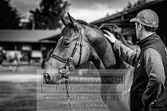 Goffs UK Premier Yearling Sale 2023-342