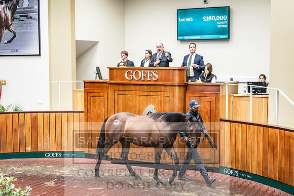 Goffs UK Premier Yearling Sale 2023-505