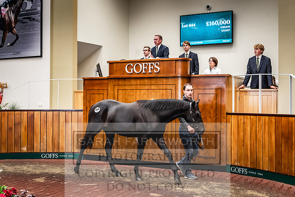Goffs UK Premier Yearling Sale 2023-539