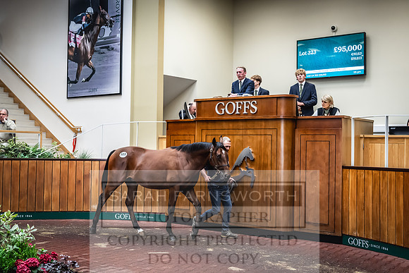 Goffs UK Premier Yearling Sale 2023-447