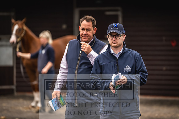 Goffs UK Premier Yearling Sale 2023-65