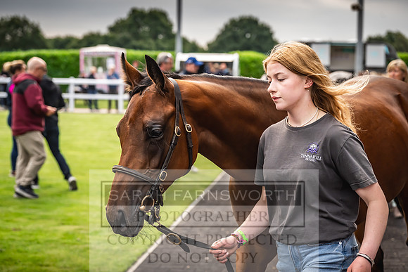 Goffs UK Premier Yearling Sale 2023-124