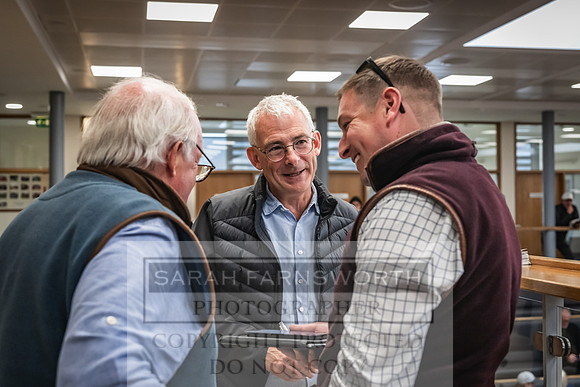 Goffs UK Premier Yearling Sale 2023-208