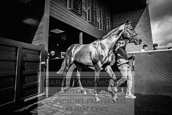Goffs UK Premier Yearling Sale 2023-412