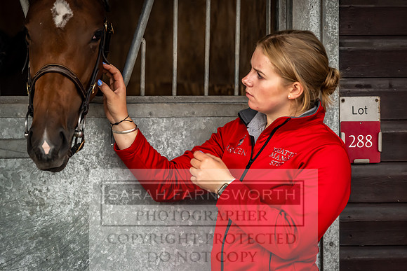Goffs UK Premier Yearling Sale 2023-83