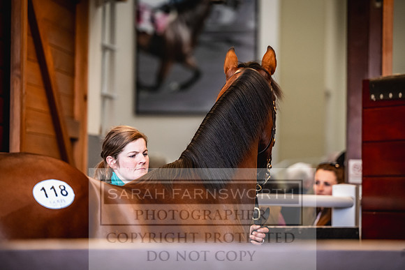 Goffs UK Premier Yearling Sale 2023-224