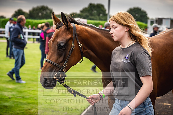 Goffs UK Premier Yearling Sale 2023-125
