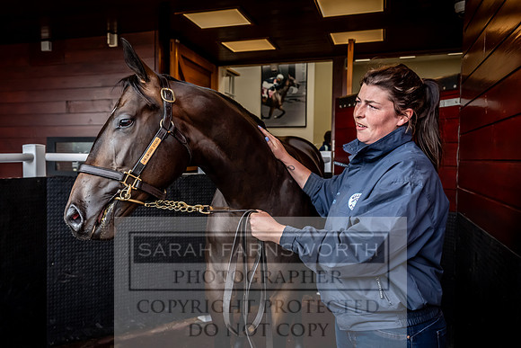 Goffs UK Premier Yearling Sale 2023-419