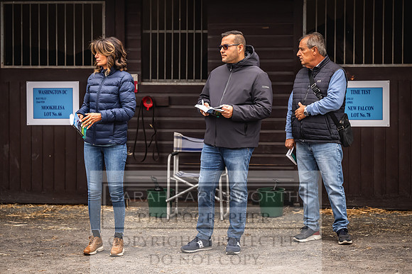Goffs UK Premier Yearling Sale 2023-10