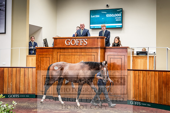 Goffs UK Premier Yearling Sale 2023-302