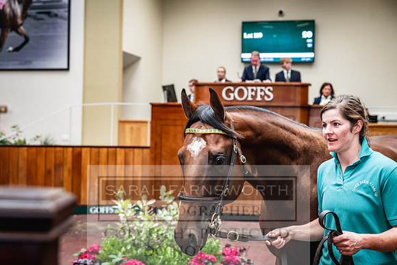 Goffs UK Premier Yearling Sale 2023-232