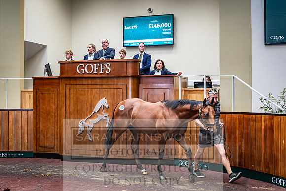 Goffs UK Premier Yearling Sale 2023-290