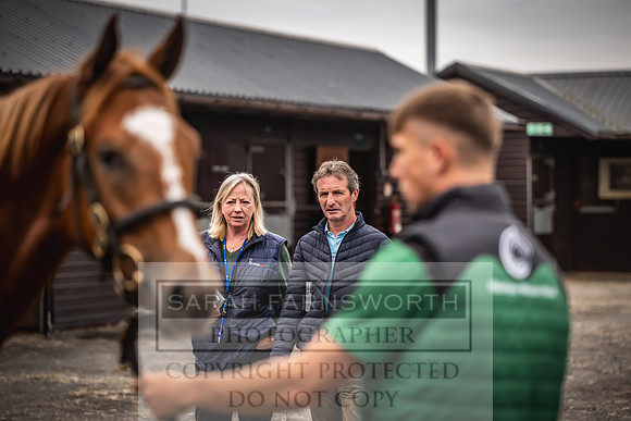 Goffs UK Premier Yearling Sale 2023-35