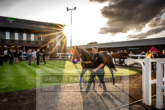 Goffs UK Premier Yearling Sale 2023-298