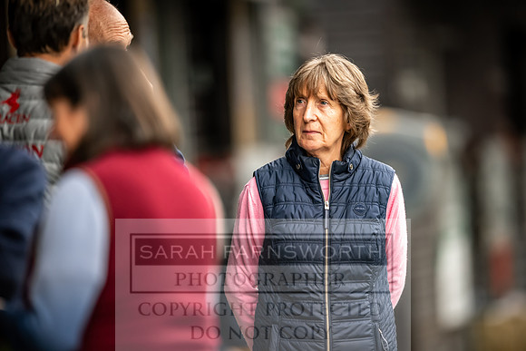 Goffs UK Premier Yearling Sale 2023-120