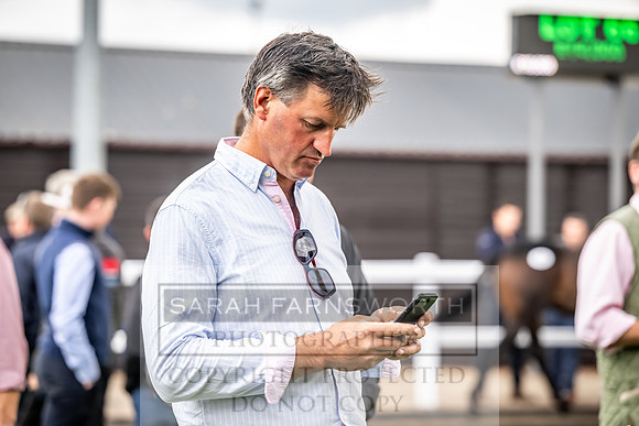 Goffs UK Premier Yearling Sale 2023-172