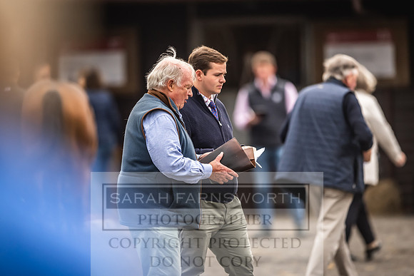 Goffs UK Premier Yearling Sale 2023-77