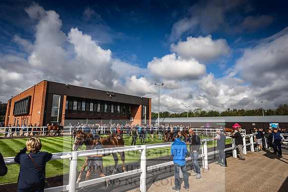 Goffs UK Premier Yearling Sale 2023-409