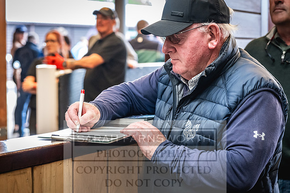 Goffs UK Premier Yearling Sale 2023-179