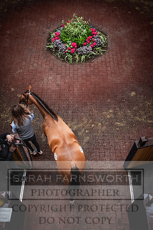 Goffs UK Premier Yearling Sale 2023-241