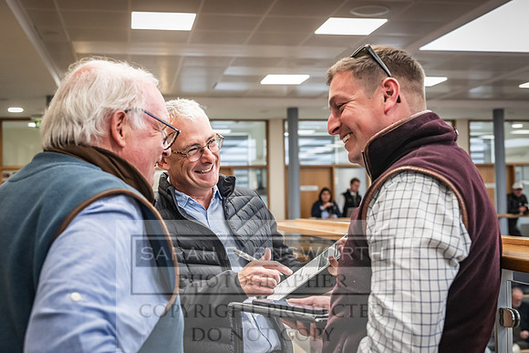 Goffs UK Premier Yearling Sale 2023-210