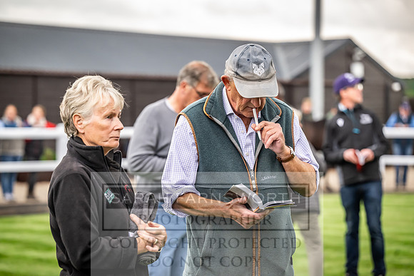 Goffs UK Premier Yearling Sale 2023-173