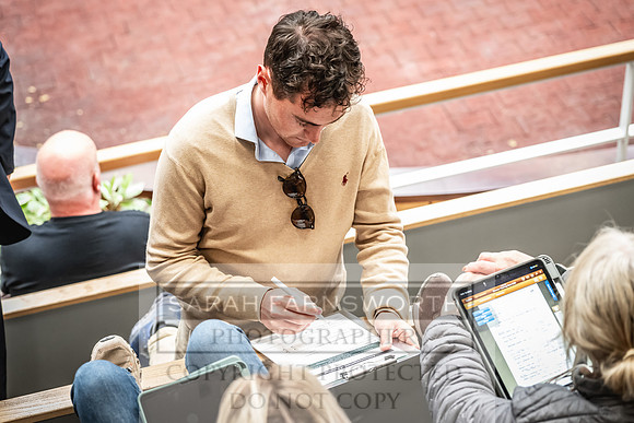 Goffs UK Premier Yearling Sale 2023-131