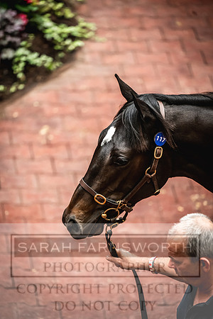 Goffs UK Premier Yearling Sale 2023-222
