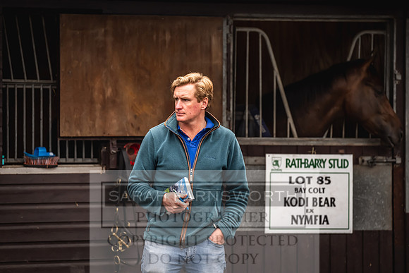 Goffs UK Premier Yearling Sale 2023-17