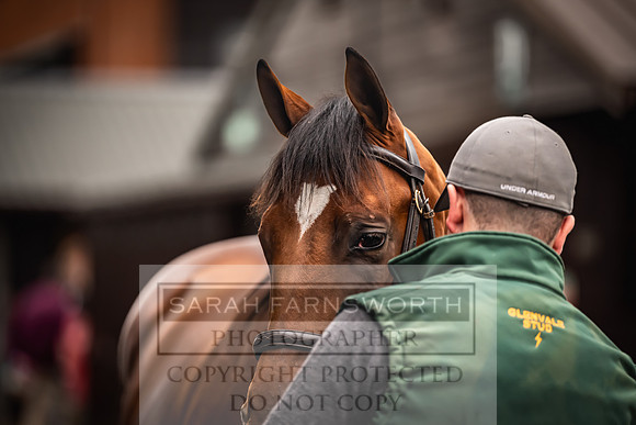 Goffs UK Premier Yearling Sale 2023-68
