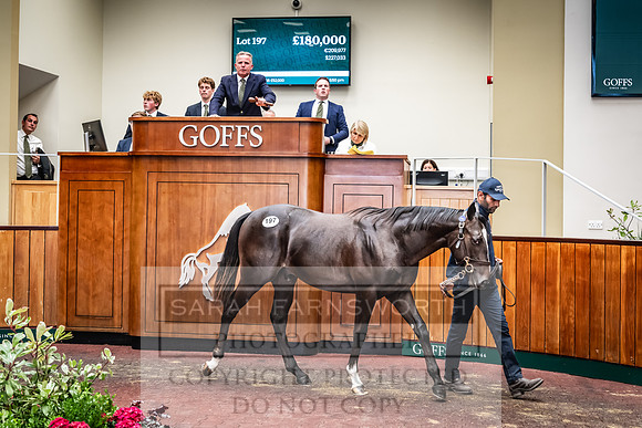 Goffs UK Premier Yearling Sale 2023-295