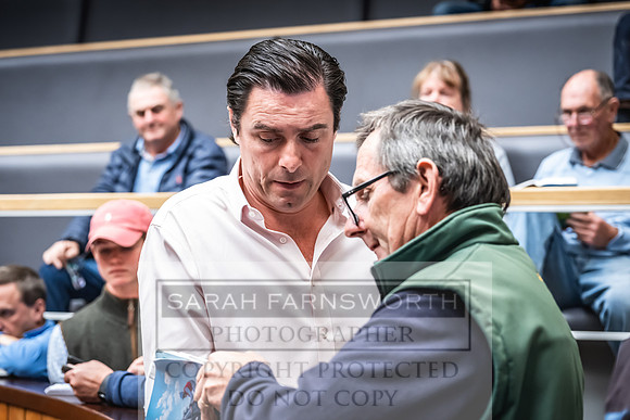 Goffs UK Premier Yearling Sale 2023-482