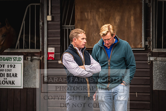 Goffs UK Premier Yearling Sale 2023-18