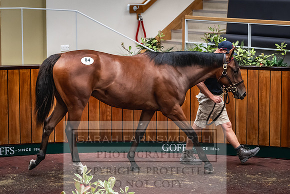 Goffs UK Premier Yearling Sale 2023-195