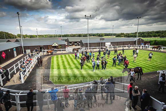 Goffs UK Premier Yearling Sale 2023-236