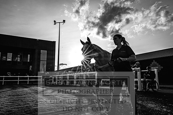 Goffs UK Premier Yearling Sale 2023-308