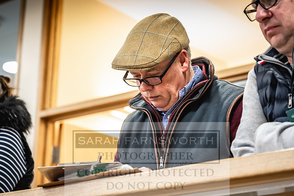 Goffs UK Premier Yearling Sale 2023-434