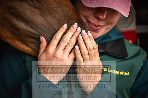 Goffs UK Premier Yearling Sale 2023-50