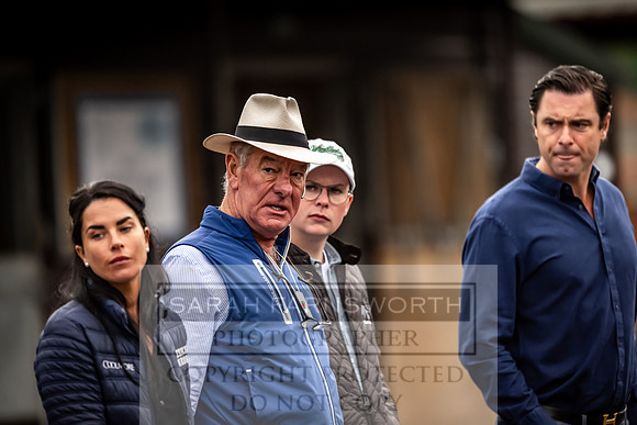 Goffs UK Premier Yearling Sale 2023-95