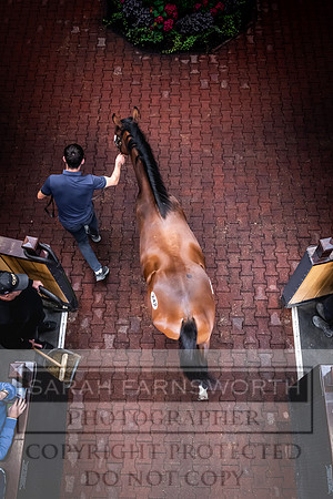 Goffs UK Premier Yearling Sale 2023-400